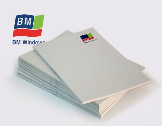 BMWindows