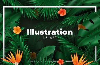 Illustration là gì? Illustration gồm các thể loại gì?